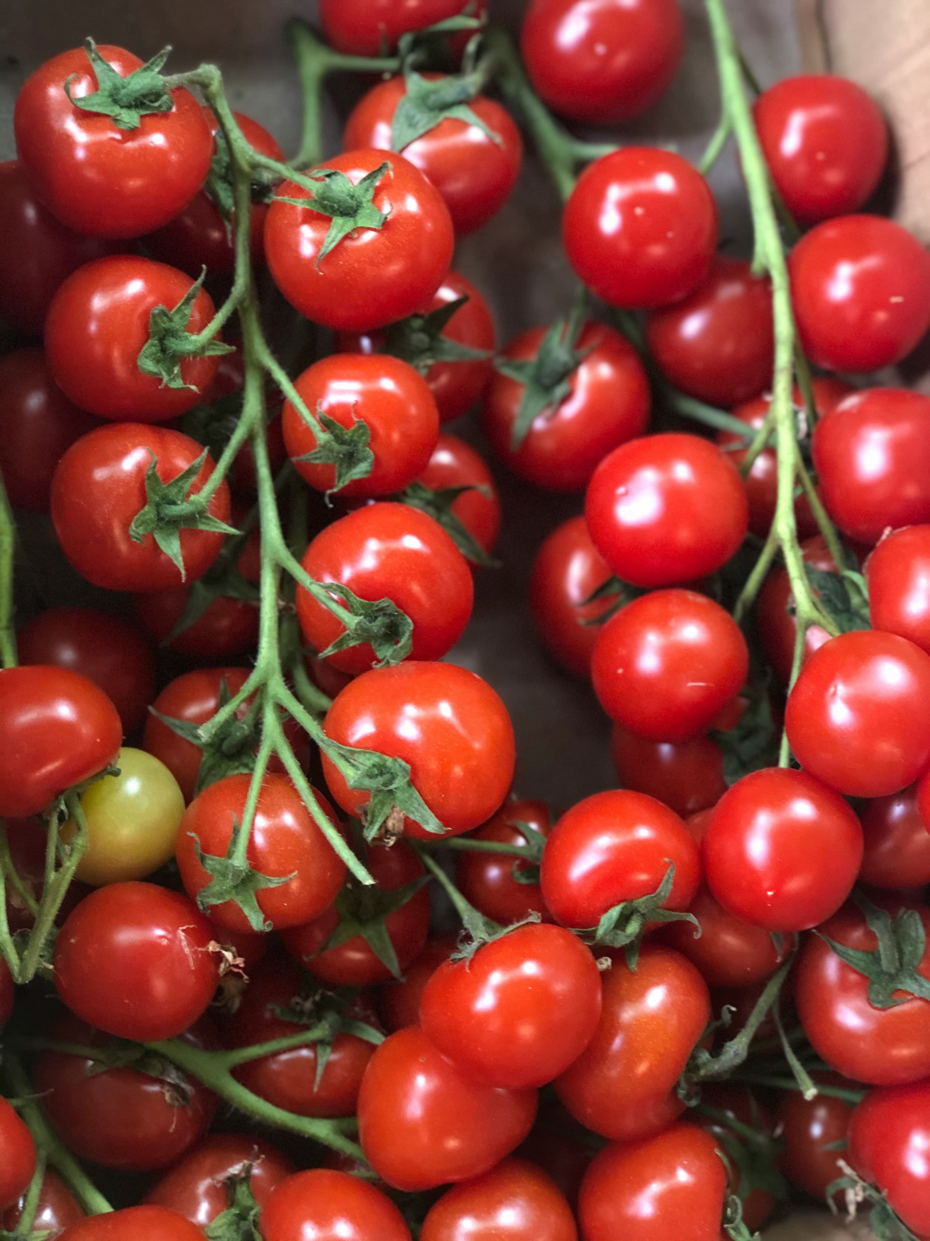 Cherry Tomato Seeds