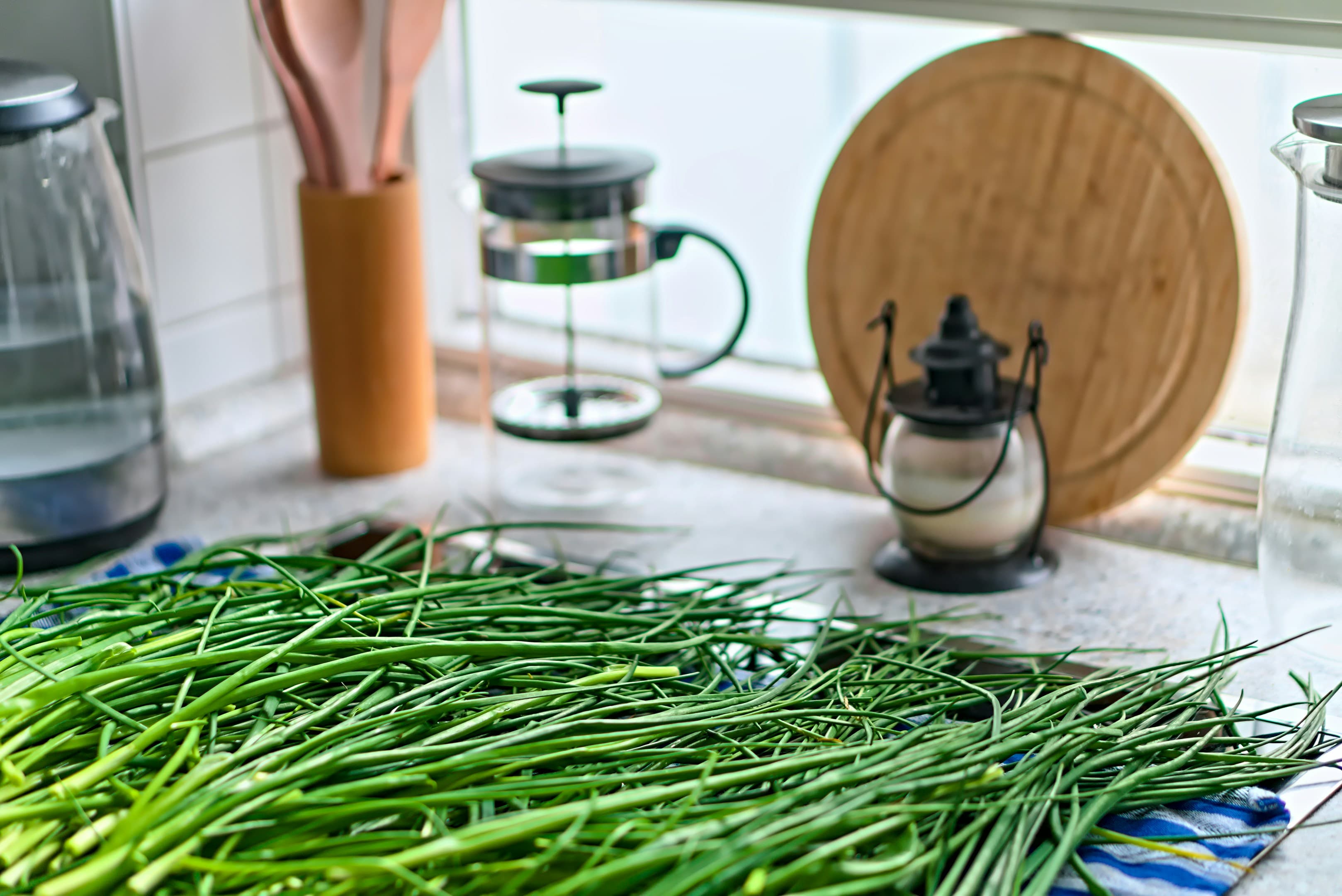 Chives Seeds