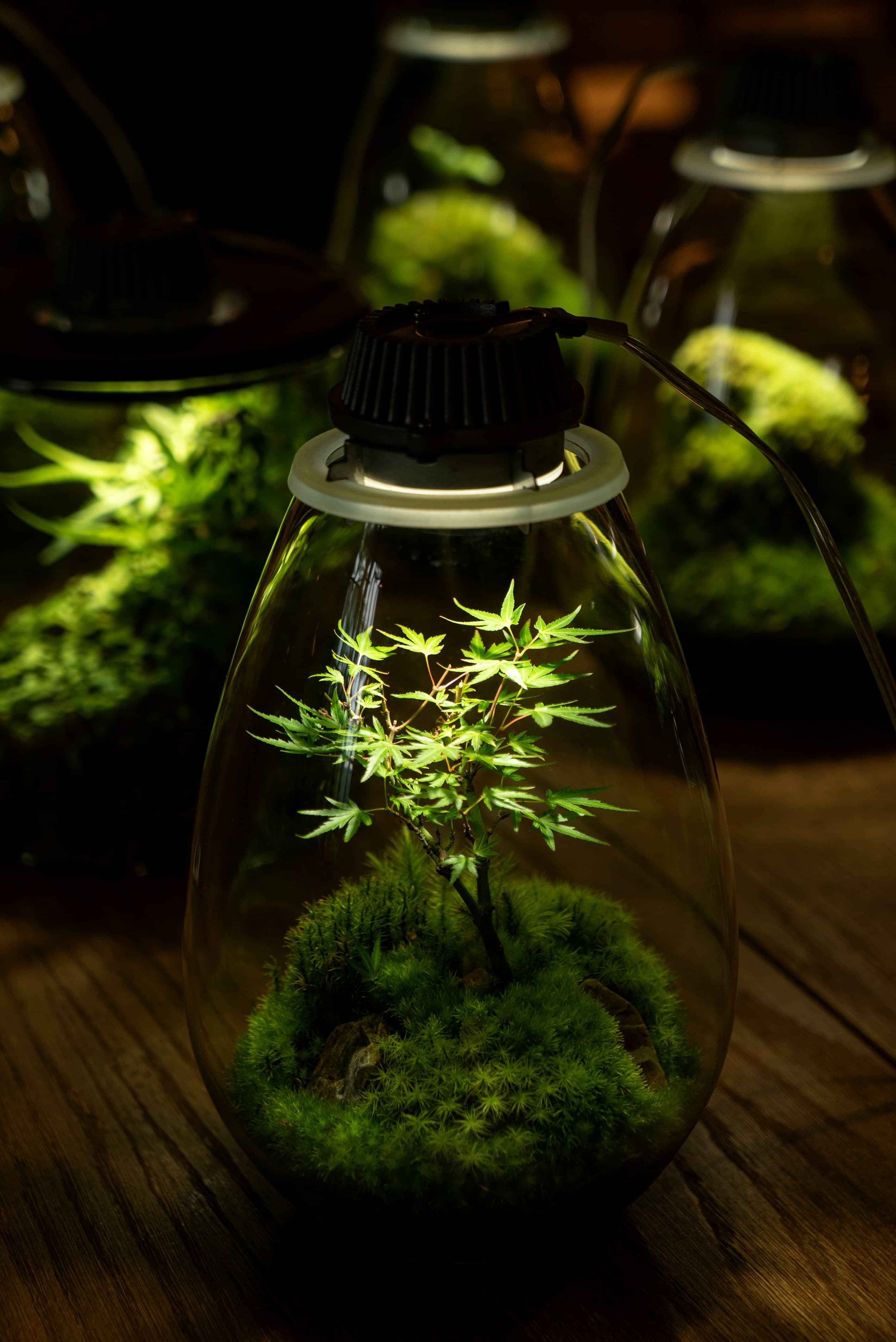 Full-Spectrum Grow Light