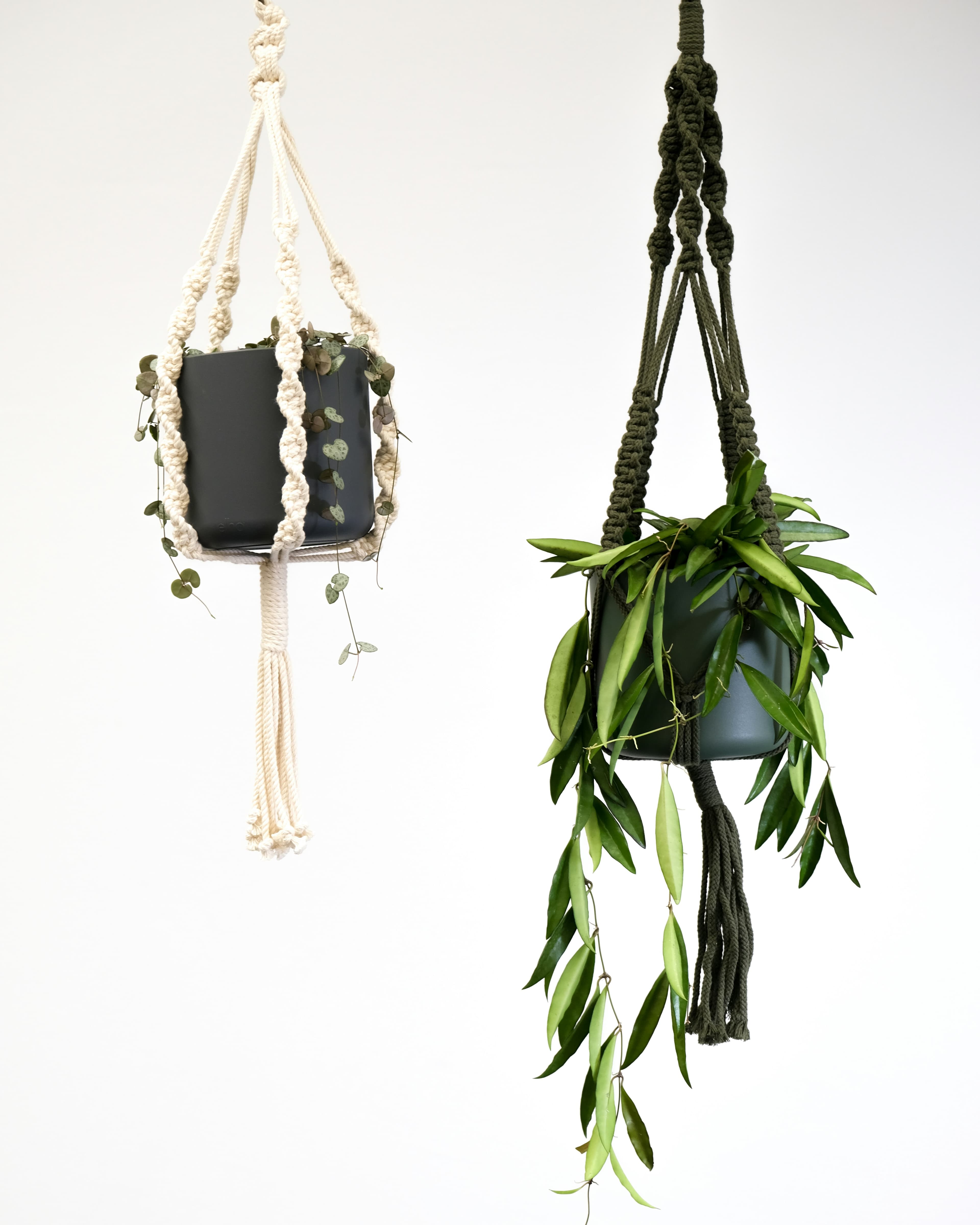 Hanging Macramé Planters